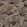 Biloba Wallpaper by Casadeco Noir Fusain