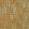 Birch Wallpaper by Missoni Ochre