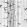 Birch Trees Wallpaper by Coordonne Grey