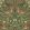 Bird Wallpaper by Morris & Co Wooded Dell