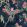 Birds In Paradise Wallpaper by Brand McKenzie Midnight
