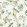 Birds Prosperity Wallpaper by Coordonne Swan