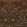 Blackthorn Wallpaper by Morris & Co Rosewood