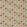 Blomma Fabric by Scion Tangerine / Chilli / Citrus