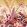 Blooms of Midas Mural by Avalana Gold