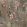 Blossom Wallpaper by Woodchip & Magnolia Brown & Blush