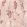 Blossom Wallpaper by Woodchip & Magnolia Burnt Orange & Blush