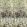 Bois De Bouleau Scene 2 Mural by Designers Guild Sepia
