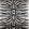 Bold Zebra Wallpaper by Avalana Black and White