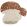Boletus Rug by Lorena Canals Natural/Chestnut