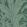 Botanic Wallpaper by Arte Pine