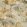 Botanica Fabric by Warwick Mustard