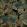 Botanica Fabric by Warwick Nightshade
