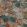Botanica Fabric by Warwick Sunset