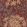 Botanical Bloom Wallpaper by Eijffinger Red / Purple / Lilac