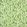 Bracken Fabric by Clarke & Clarke Forest