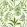 Bracken Wallpaper by Clarke & Clarke Forest