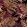 Bridgewater Fern Wallpaper by Avalana Autumn