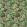 Broadhead Forest Wallpaper by Woodchip & Magnolia Grass Green/Salmon