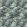 Broadhead Forest Wallpaper by Woodchip & Magnolia Sage