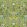 Brocart Decoratif Fabric by Designers Guild Moss