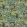 Broccoli Canopy Wallpaper by Josephine Munsey Chaingate Green