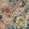 Bronte Fabric by Arley House Chalk Pink