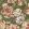 Bronte Fabric by Arley House Ivy