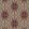 Buckland Wallpaper by Mulberry Home Red / Plum