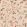 Bucolic Wallpaper by Coordonne Peach