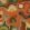 Burle Mural by Tres Tintas Terracotta