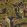 Bush Baby Wallpaper by Cole & Son Spring Green & Orange on Black