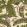 Bush Baby Wallpaper by Cole & Son Spring Green & Marigold on Stone