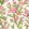 Cactus Bloom Wallpaper by Ohpopsi Rasperry Ripple