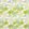 Cactus Flower Wallpaper by Christopher Farr Cloth Aruba