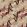 Cactus Flower Fabric by Christopher Farr Cloth Wine