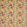 Cactus Flower Performance Fabric by Christopher Farr Cloth Limone