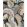 Calathea Rug by Harlequin Shiitake/Wild Water