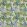 Calla Lily Fabric by Osborne & Little Azure