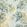 Camellia Garden Fabric by Anna French Soft Gold