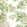 Camellia Garden Fabric by Anna French Spring on White
