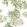 Camellia Garden Wallpaper by Anna French Spring on White