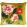 Camellia Velours Cushion 50 x 50cm by Designers Guild Mimosa