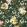 Camile Wallpaper by Clarke & Clarke Teal/Spice