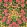 Campanula Velvet Fabric by Morris & Co Sunburst/Ebony