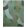 Canopee Rug by Edito Paris Green