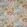 Canopy Fabric by Prestigious Textiles Papaya