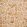 Canopy Wallpaper by Schumacher Spice