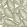Caracas Wallpaper by Caselio Vert Kaki Or