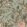Carnaby Wallpaper by Rebel Walls Fern